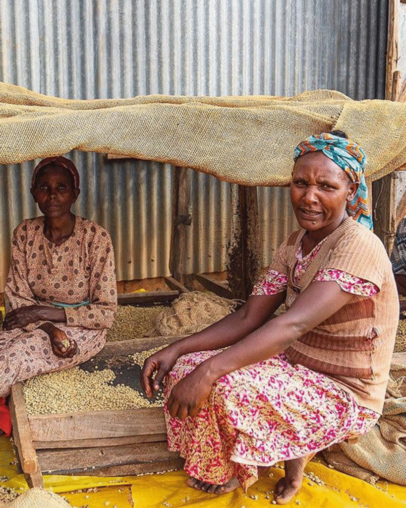 Old Ethiopian woman at washing station